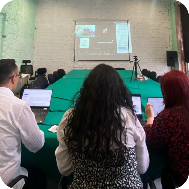 Hallazgos de informe regional